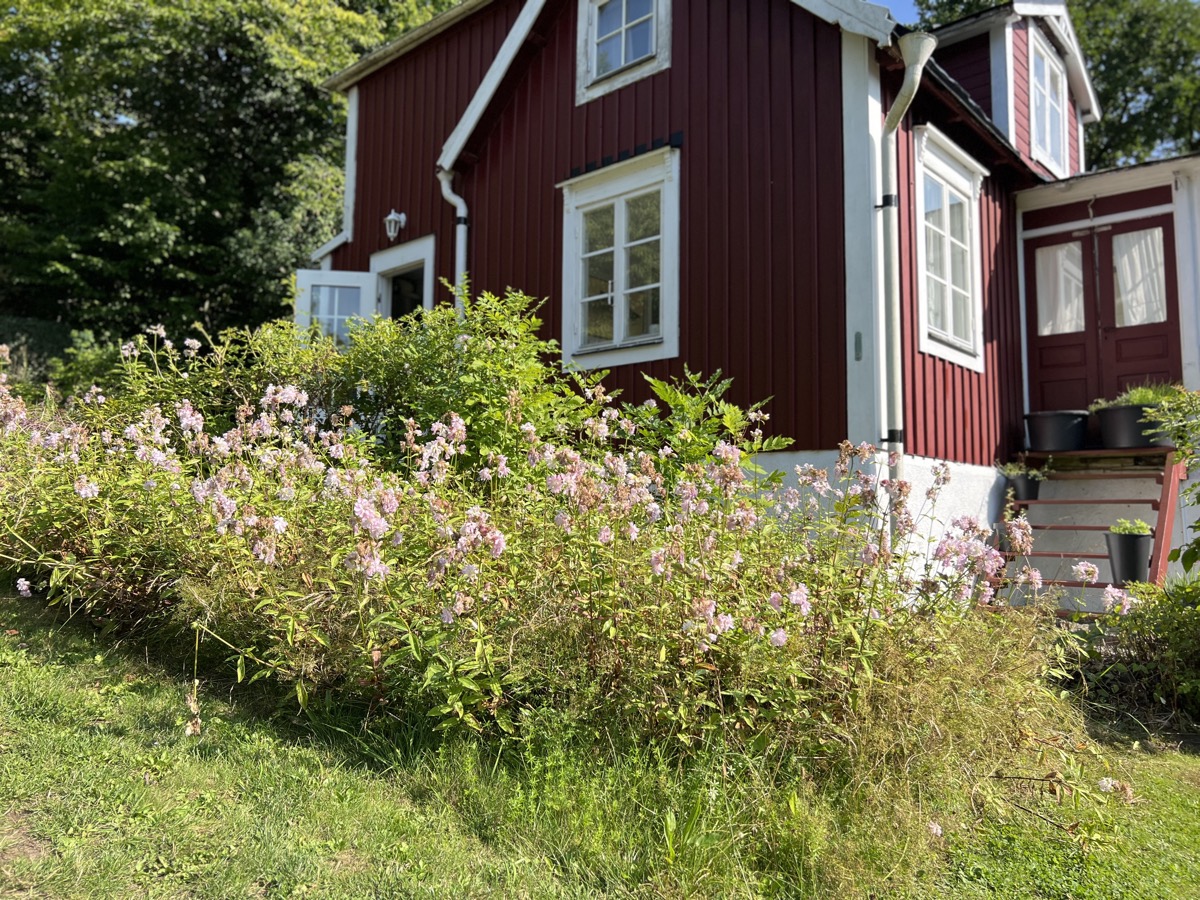 Mörrum River House and its garden in summer
